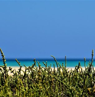 fuerteventura