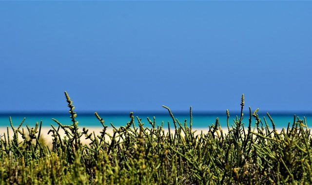 fuerteventura